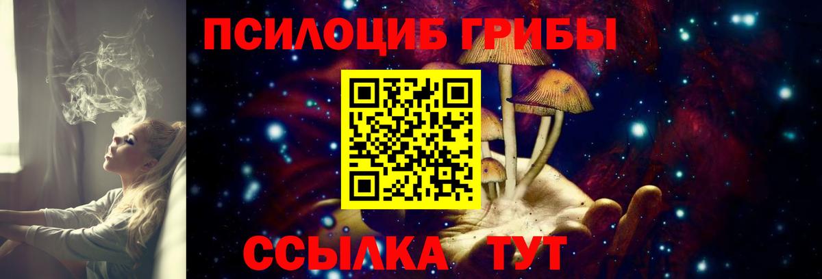 Галлюциногенные грибы ЛСД Елабуга
